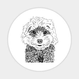 Cavoodle Magnet